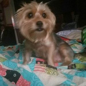 Meet your Posher, Tanya